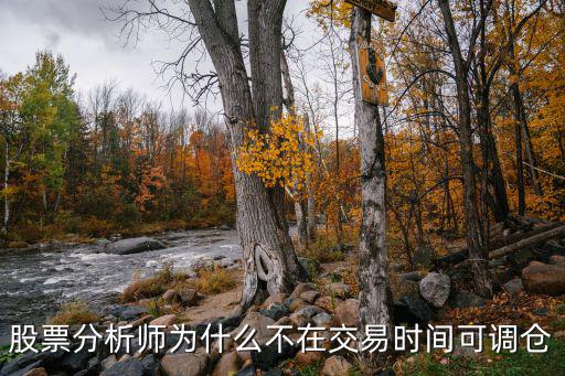 股票分析师为什么不在交易时间可调仓