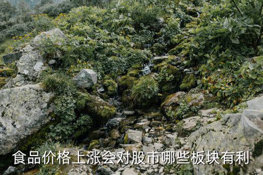 食品价格上涨会对股市哪些板块有利