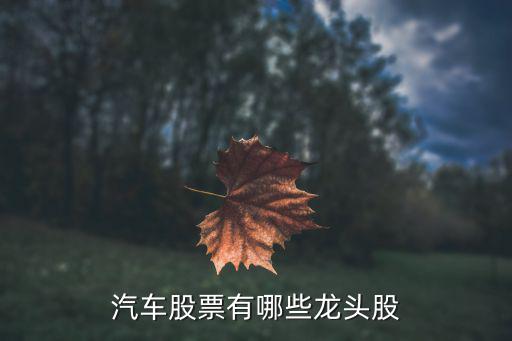 汽车股票有哪些龙头股