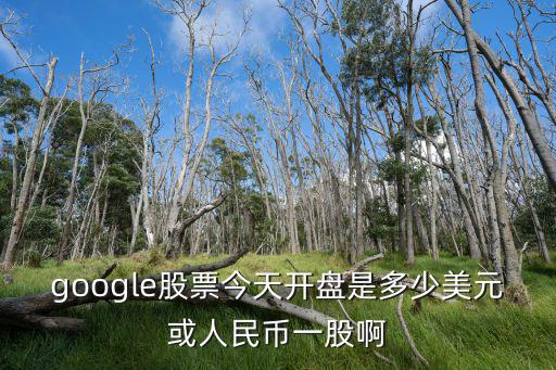 google股票今天开盘是多少美元或人民币一股啊