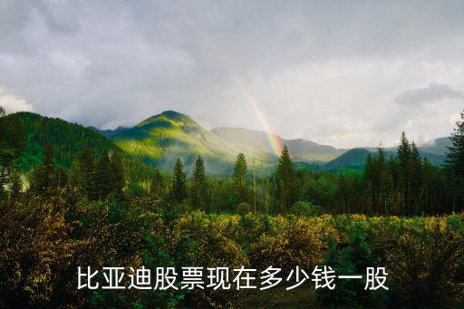 比亚迪股票现在多少钱一股