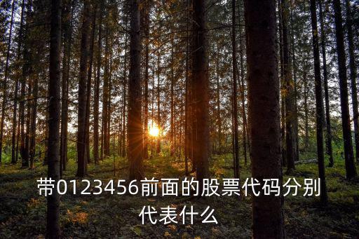 股票带码是什么，中国石油的股票带码是多少