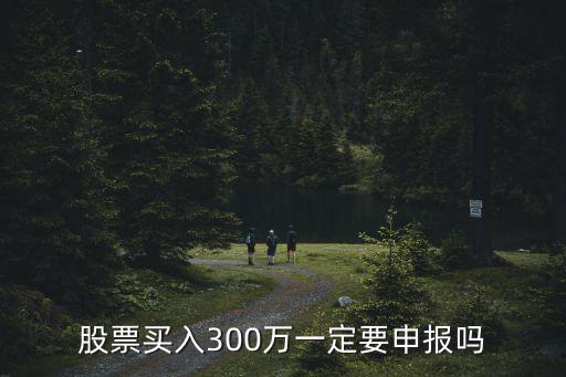 股票买入300万一定要申报吗