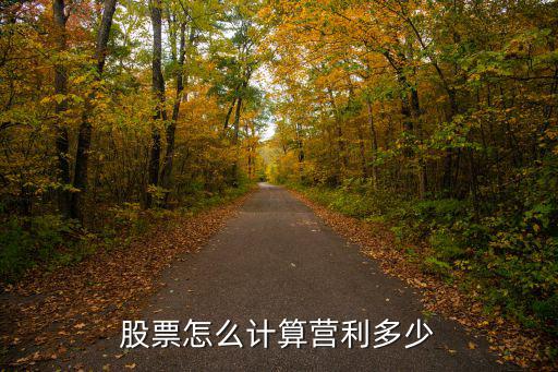 股票营利多少，股票的具体盈利是多少