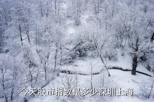 今天的股票多少，今天的股市行情
