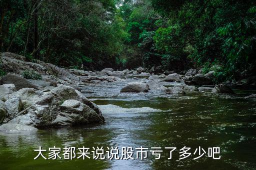 最大亏损多少 股票，用市值70万元的股票融资70万就是一比一最大比例全仓买入一个股票