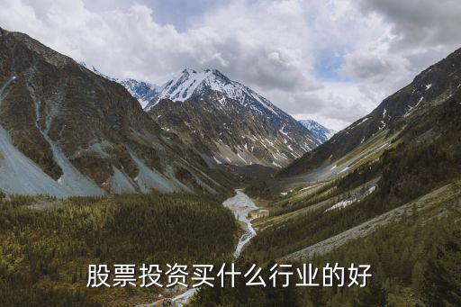 股票投资买什么行业的好