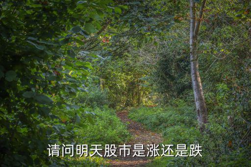 什么股票明天小涨了，明天股票大盘会跌还是会涨呢