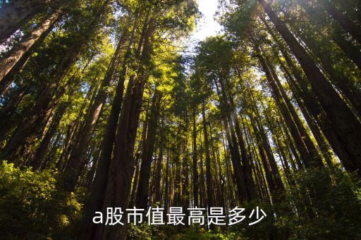 香港霸王股票市值多少，a股市值最高是多少