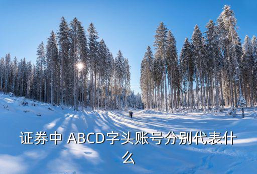 证券中 ABCD字头账号分别代表什么