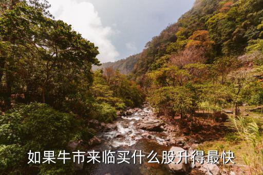 如果牛市来临买什么股升得最快