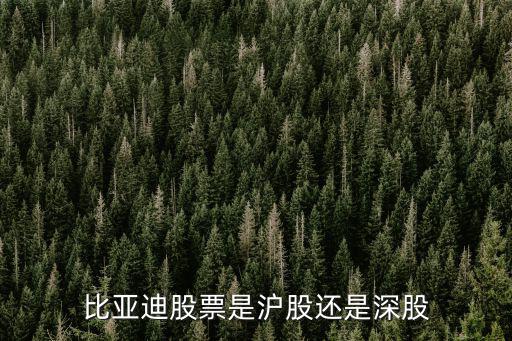 比亚迪股票是沪股还是深股