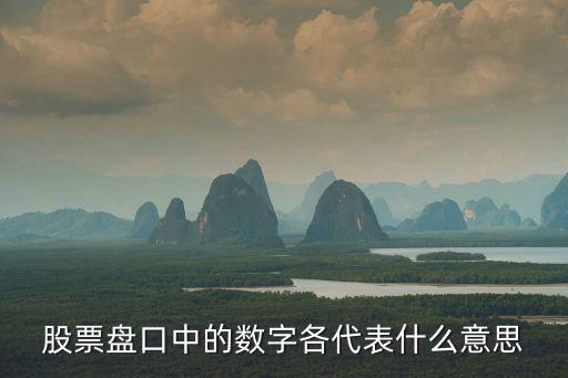 股票盘口中的数字各代表什么意思
