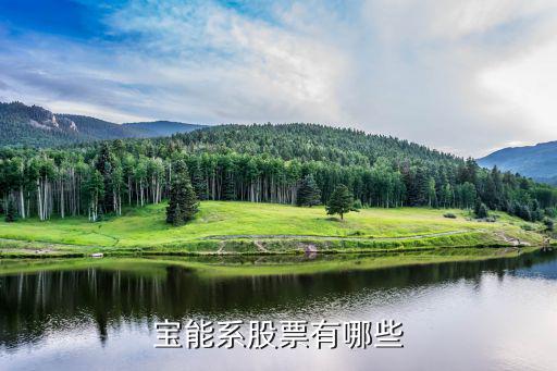 周胜持有什么股票，长城久富基金公司持有哪些股票