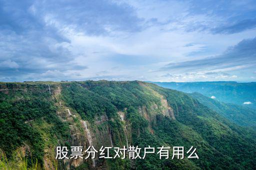 股票分红散户得到什么，股票分红派息对散户有什么好处