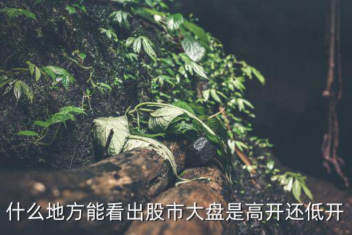 什么地方能看出股市大盘是高开还低开