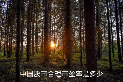中国股市合理市盈率是多少