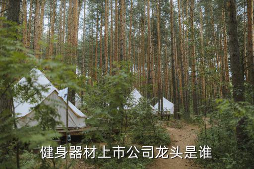 健身器材上市公司龙头是谁