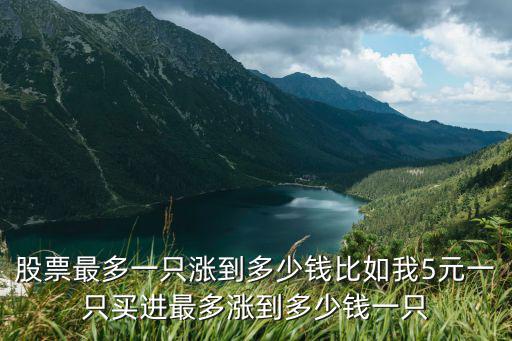 股票最多一只涨到多少钱比如我5元一只买进最多涨到多少钱一只