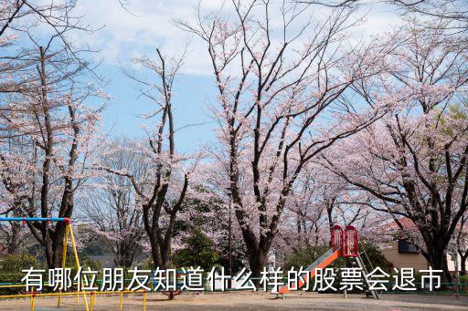 有哪位朋友知道什么样的股票会退市
