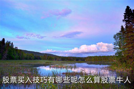 股票买入技巧有哪些呢怎么算股票牛人
