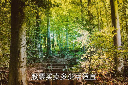 股票买卖多少手适宜