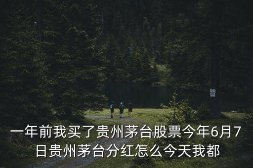 一年前我买了贵州茅台股票今年6月7日贵州茅台分红怎么今天我都