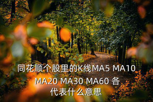 同花顺股票是多少，同花顺股票中的大单是多少