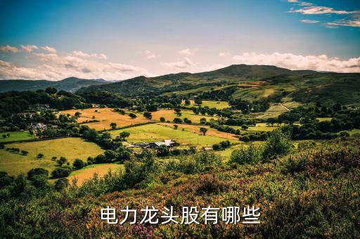 上海电力股票什么龙头，上海电力和广深铁路这两只股怎么样啊还会涨吗套的不潜啊
