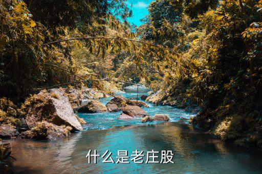 茅台股票指的是什么，技术面情况介绍贵州茅台股票 支撑线压力线形态理论技术指