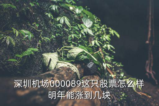 深圳机场000089这只股票怎么样明年能涨到几块