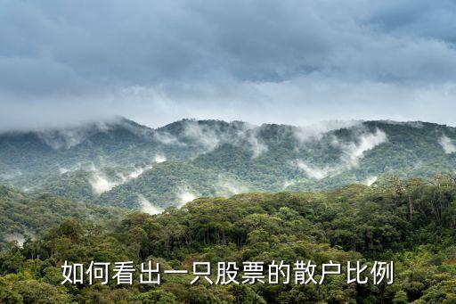 如何看出一只股票的散户比例