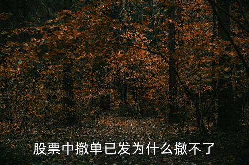 股票为什么撤单失败，为什么撤单不成功