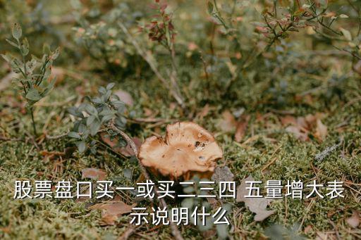 股票买盘量大代表什么，单只股票买卖量都非常大什么什么原因是要涨还是要跌还是庄家作