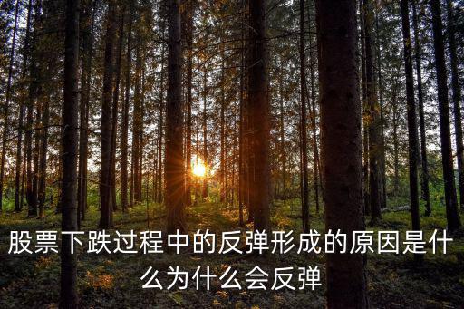 股票下跌过程中的反弹形成的原因是什么为什么会反弹