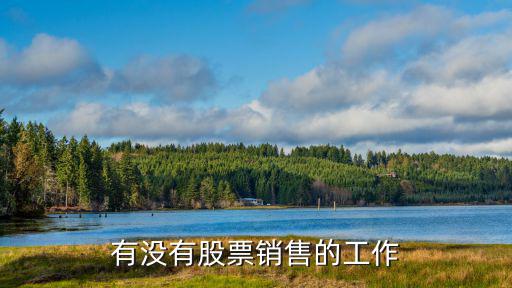 股票销售是什么职责，有没有股票销售的工作