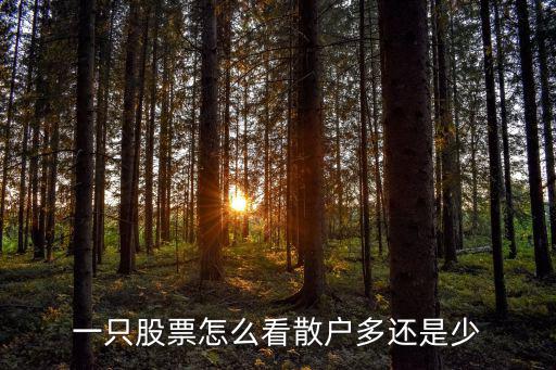 一只股票怎么看散户多还是少
