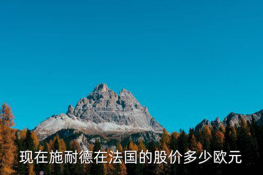 施耐德有多少股票，现在施耐德在法国的股价多少欧元