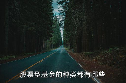 股票型基金的种类都有哪些