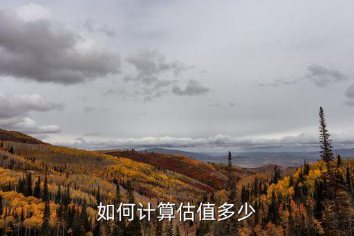 如何计算估值多少
