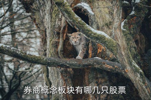 券商概念板块有哪几只股票
