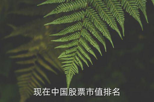 西部石油股票市值多少，成都西部石油装备股份有限公司情况