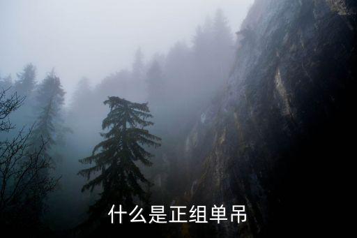 什么是正组单吊