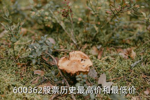 600362股票历史最高价和最低价