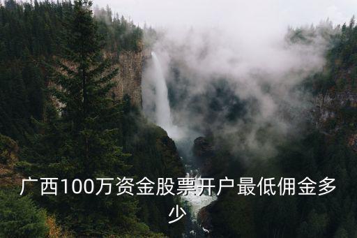 广西开户最低多少股票，广西100万资金股票开户最低佣金多少