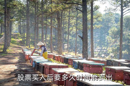 股票买入后要多久时间能卖出