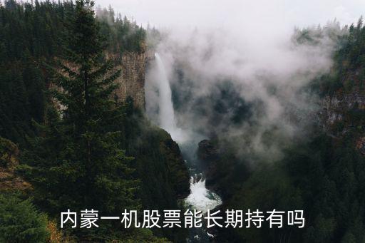 内蒙一机股票能长期持有吗