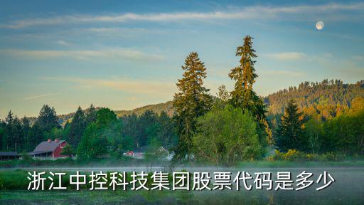 浙江中控科技集团股票代码是多少