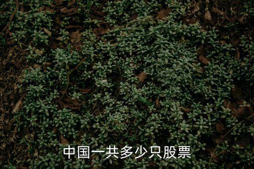 中国一共多少只股票