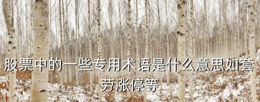 股票中的一些专用术语是什么意思如套劳涨停等